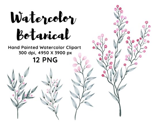 Download Watercolor Botanical Clipart PNG - Botanical Collection