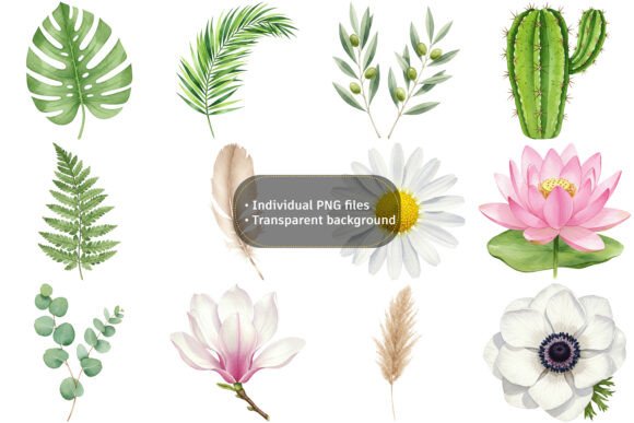 Download Vibrant Watercolor Botanical Clipart - Botanical Collection