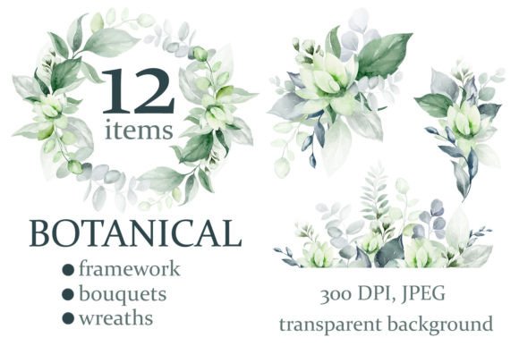 Download Watercolor Botanical Clipart | PNG - Botanical Collection