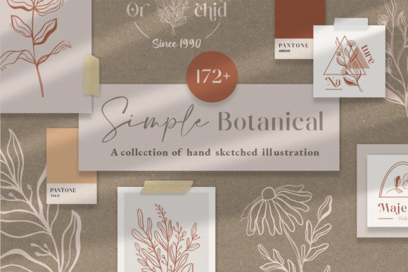Download Simple Botanical Line Art Flowers - Botanical Collection