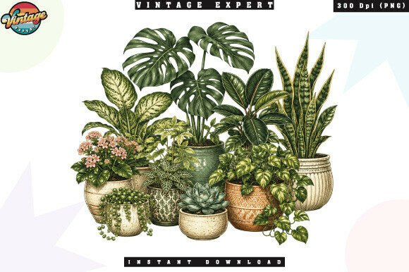 Download Indoor Plant Lover Botanical PNG - Botanical Collection